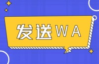 基础版发送WhatsApp方法